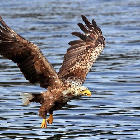 Skjaeret Rorbu Villa Stamsund Bagian luar foto